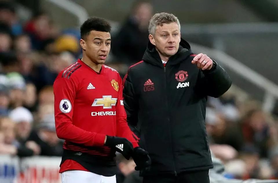 他们往往只 他们往往只