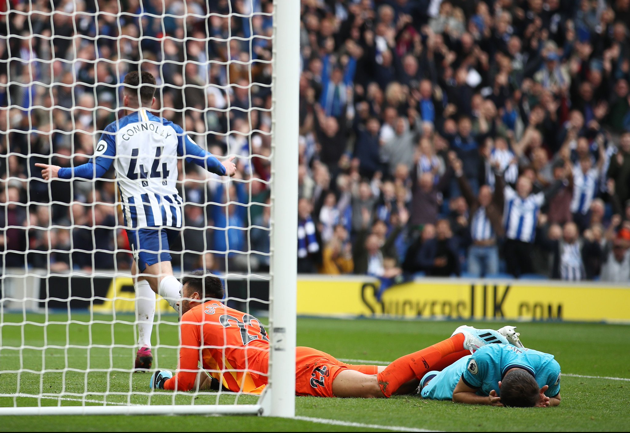 面的观赛体 面的观赛体